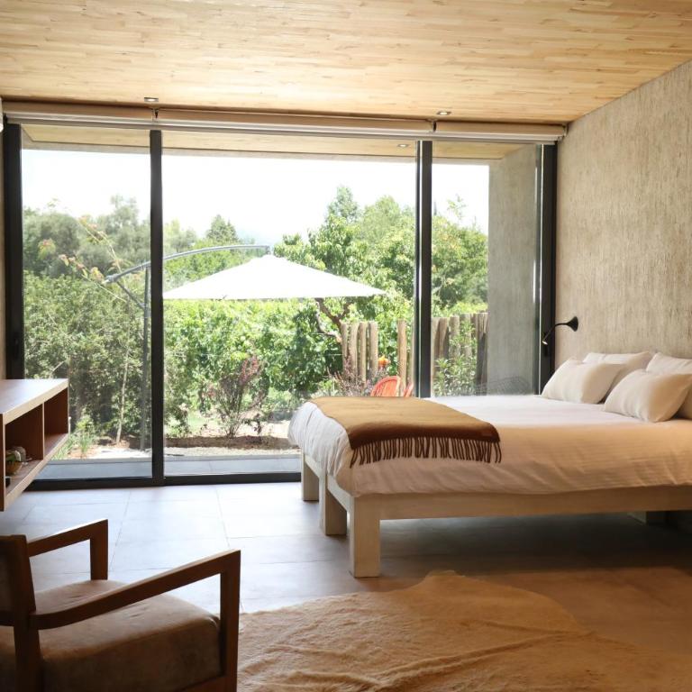Finca Adalgisa Wine Hotel Mendoza - Habitación con cama extragrande y vistas al jardín - 1