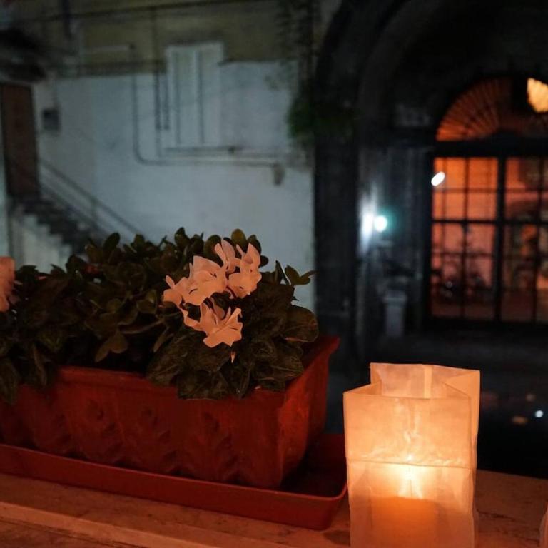 Finestra sul cortile - Appartamento con 1 Camera da Letto - 14