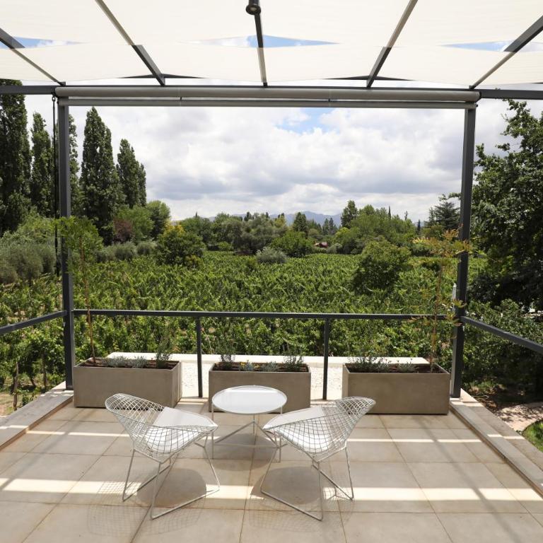 Finca Adalgisa Wine Hotel Mendoza - Habitación Doble con terraza - 4