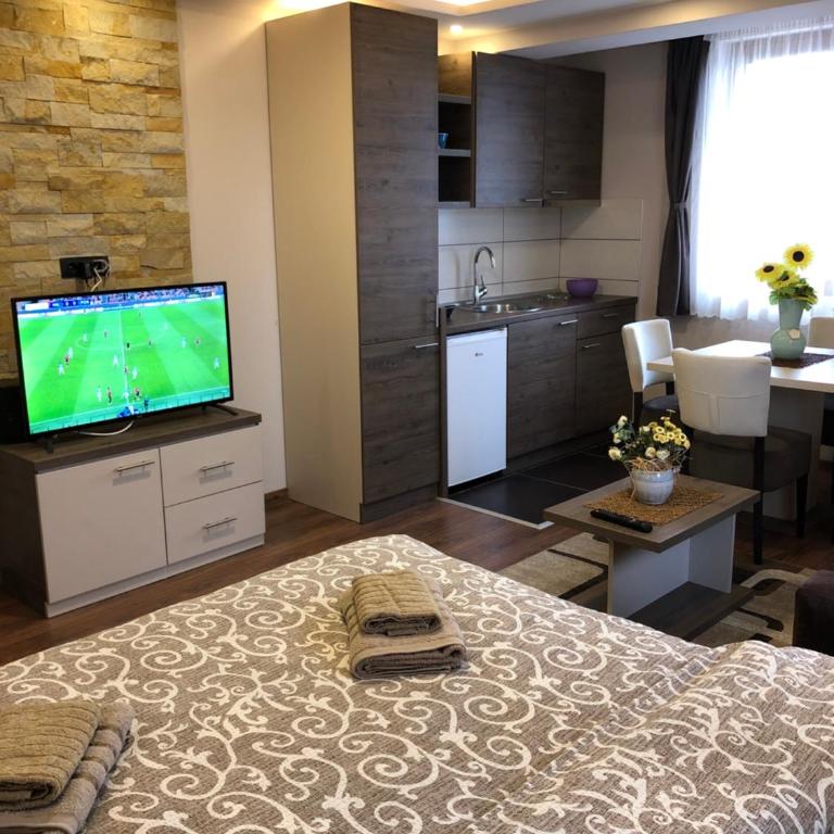 Apartmani Glamur Kopaonik - One-Bedroom Apartment - 1