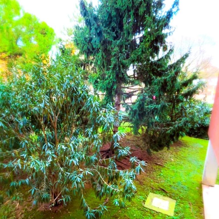Casa Vacanze Ginevra - Appartamento con 2 Camere da Letto - 53