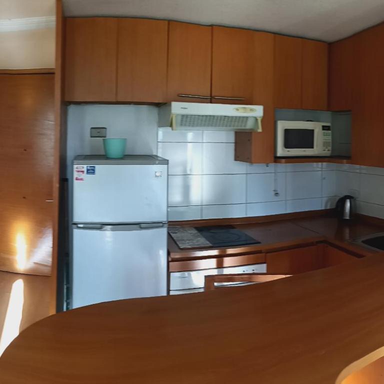 Lindo departamento en santo domingo Santiago centro - One-Bedroom Apartment - 4