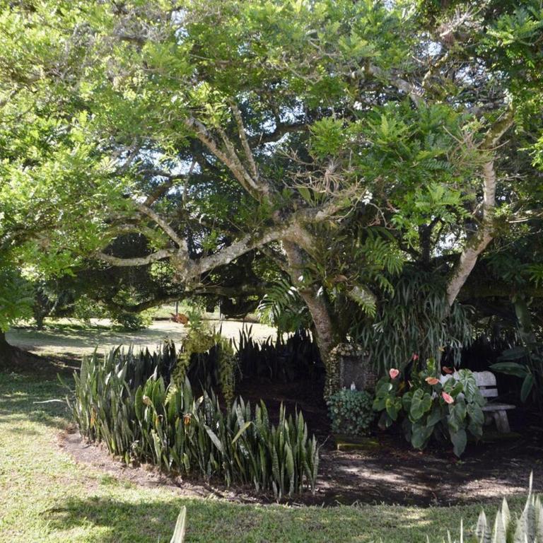 Finca Los Guaduales Exclusive Private Pool - Four-Bedroom House - 65