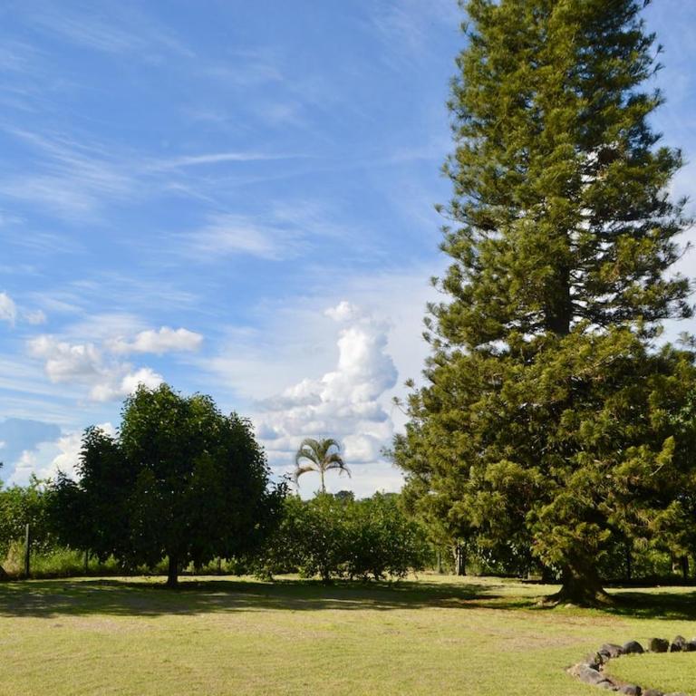 Finca Los Guaduales Exclusive Private Pool - Four-Bedroom House - 70