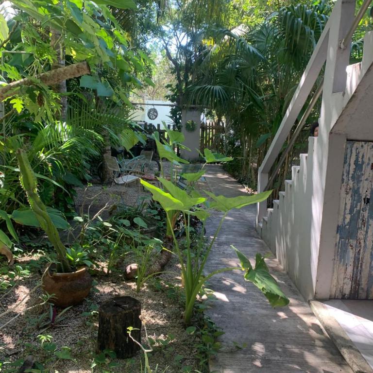 The Sanctuary Bacalar - Apartamento de 1 dormitorio - 12