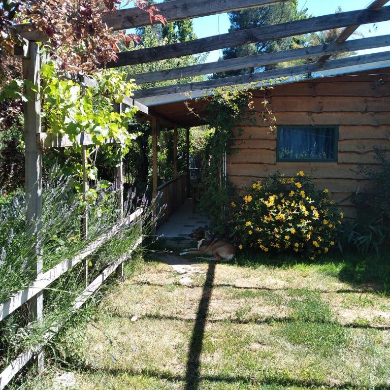 Remanso - One-Bedroom Chalet - 9