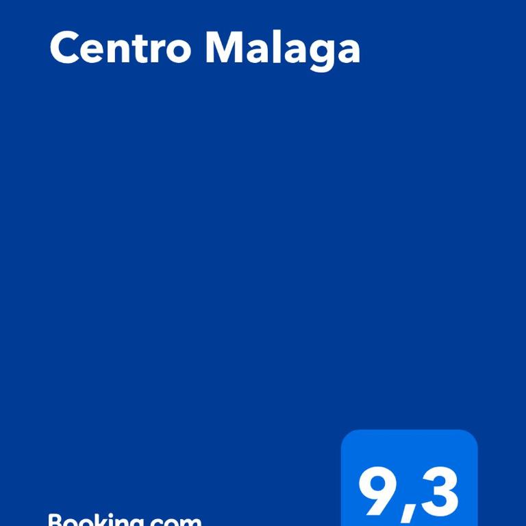 Centro Malaga - Apartamento - 21
