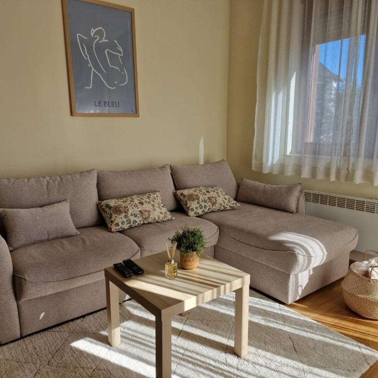 A Home Zlatibor - One-Bedroom Apartment - 11