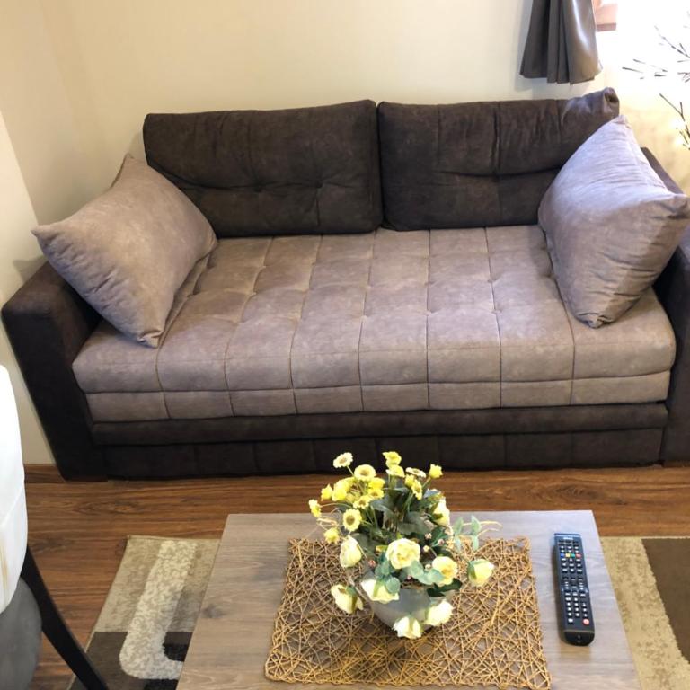 Apartmani Glamur Kopaonik - One-Bedroom Apartment - 10