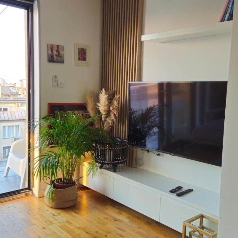 Temple Sky View Apartment Vracar - Two-Bedroom Apartment with Terrace - 11