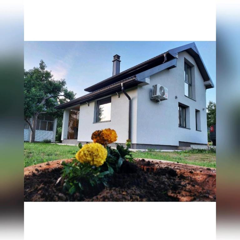 House For Rest VIN - Kuća sa 1 Spavaćom Sobom - 1
