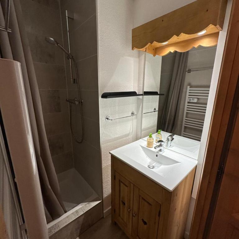Grand Panorama T2 avec piscine aux pieds des télécabines - Appartement - 27