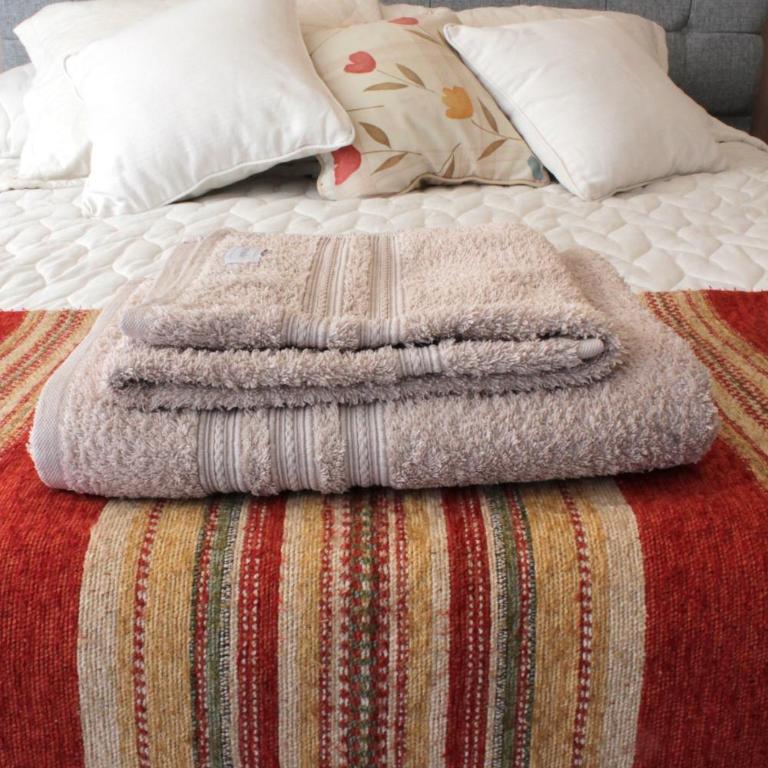 Luminoso, Céntrico y Bellísimo. - Apartamento de 1 dormitorio - 25