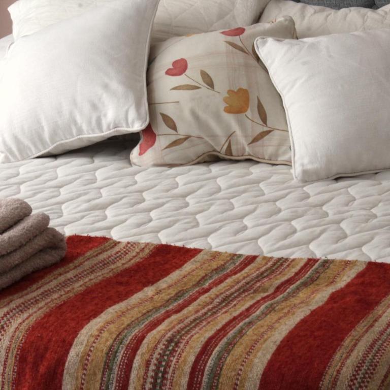 Luminoso, Céntrico y Bellísimo. - Apartamento de 1 dormitorio - 24