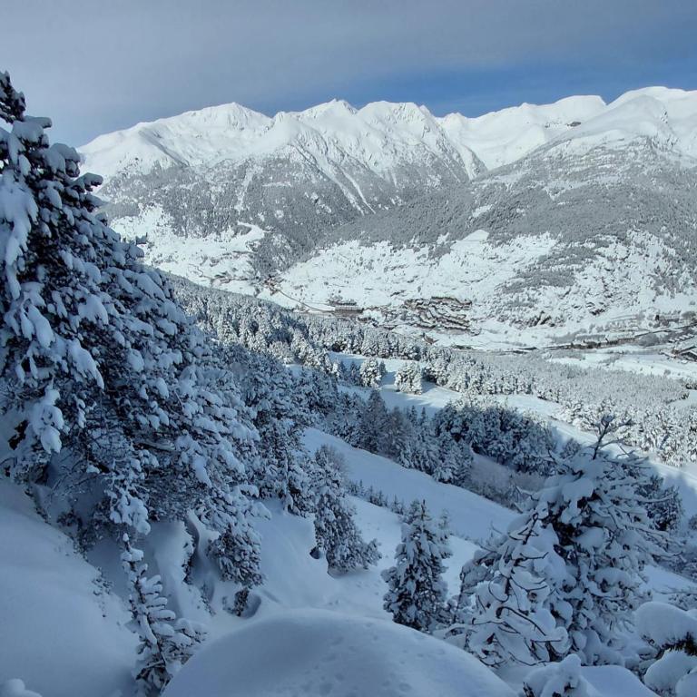 Apartamento Mirador del Tarter HUT1-7959 - Appartement 1 Chambre - 12