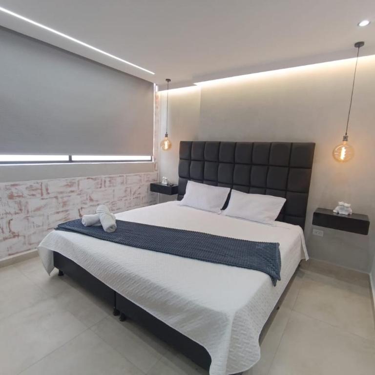 Loftgo laureles - Studio - 1