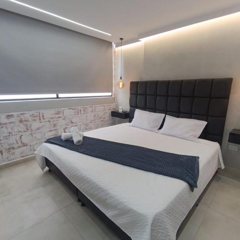 Loftgo laureles - Studio - 3