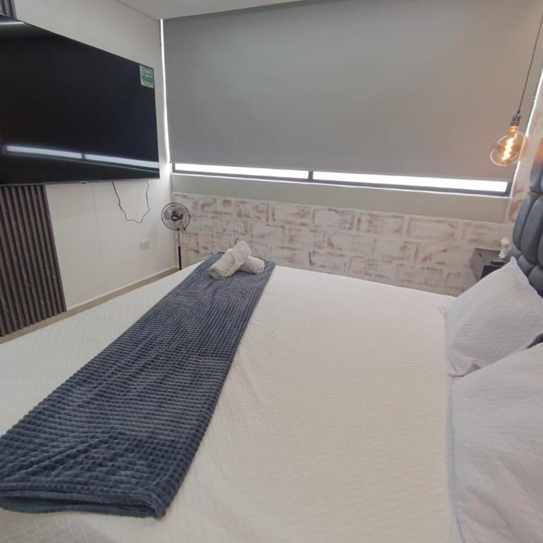 Loftgo laureles - Studio - 5