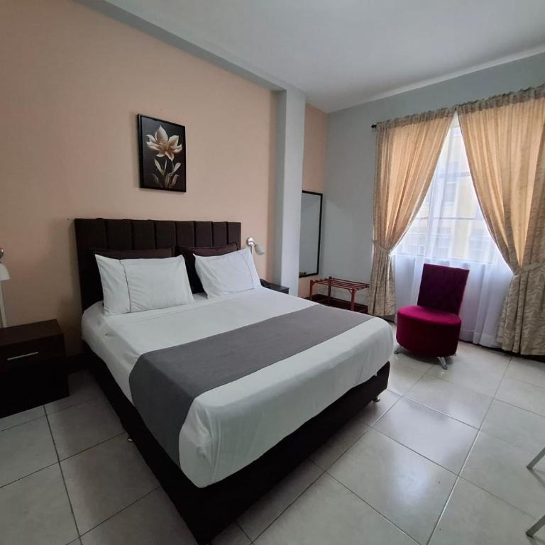 Hotel Astoria Real - Habitación Estándar - 1 cama grande - 1