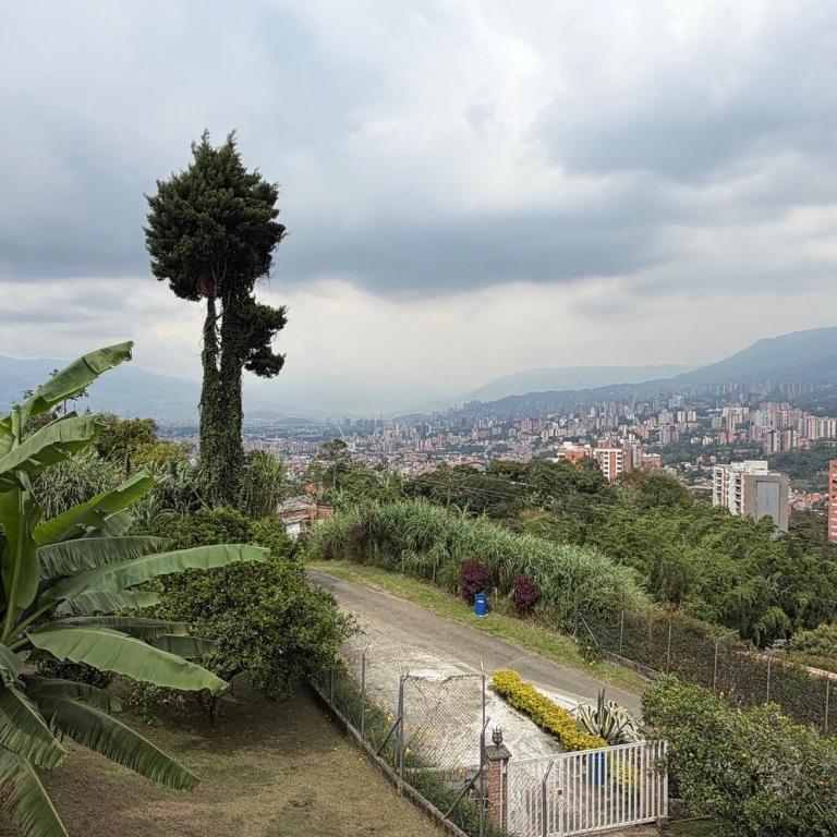 AMAZING EL POBLADO VIEWs-MODERN VILLA - Deluxe Villa - 17