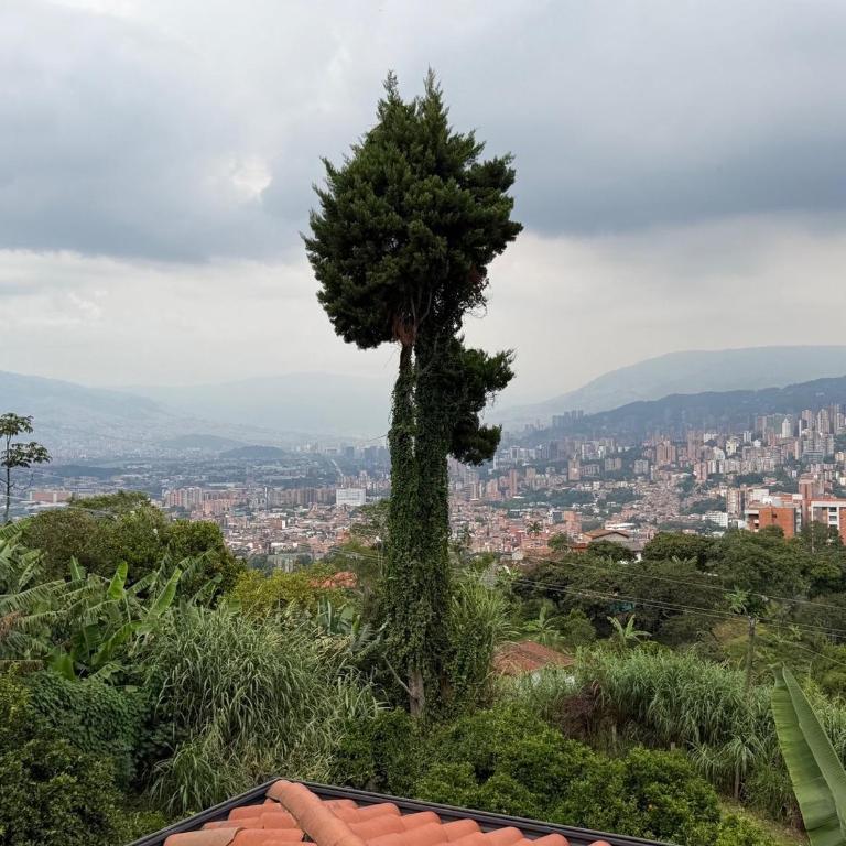 AMAZING EL POBLADO VIEWs-MODERN VILLA - Deluxe Villa - 47