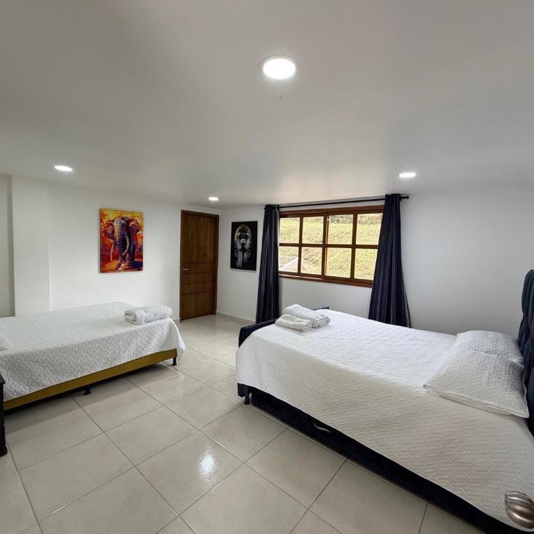 AMAZING EL POBLADO VIEWs-MODERN VILLA - Deluxe Villa - 51