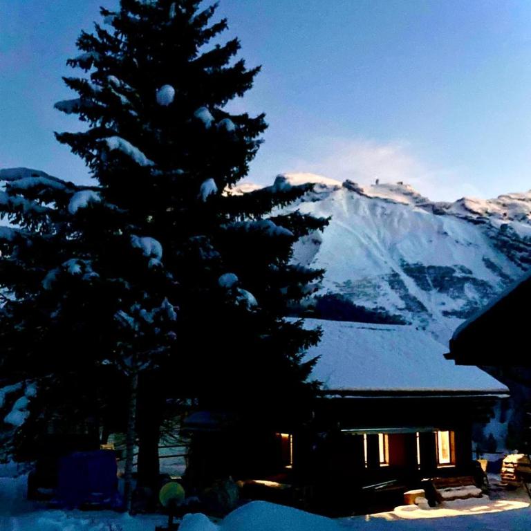 Cosy Chalet 87 in Engelberg with spectacular mountain and lake Views - Chalet mit 3 Schlafzimmern - 75