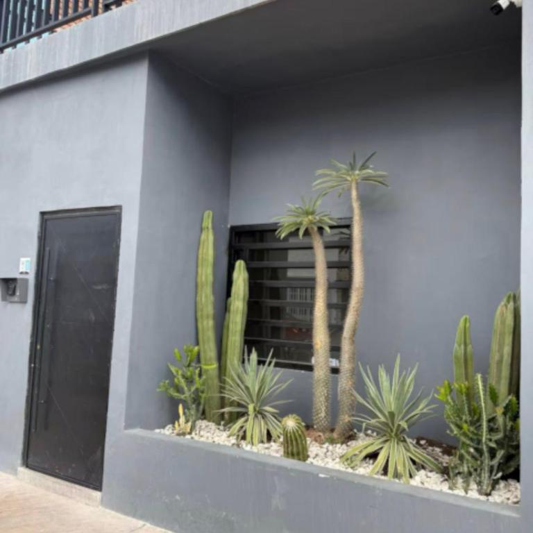 Departamento San Lorenzo #102 - Apartment - 29