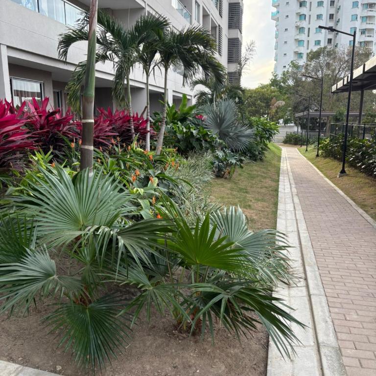 Cardona Suite Santa Marina Santa Marta - One-Bedroom Apartment - 35