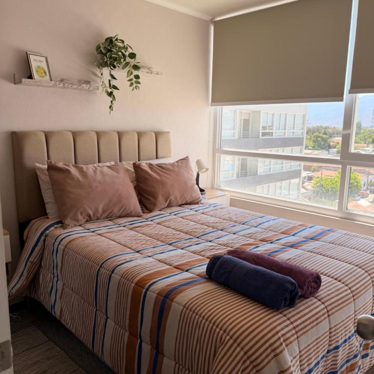 Edificio moderno en centro de Rancagua - Apartment - 13