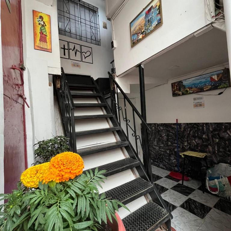 Betty Hospedaje-Full Equipada-Estacionamiento Incluido - Apartment - 60