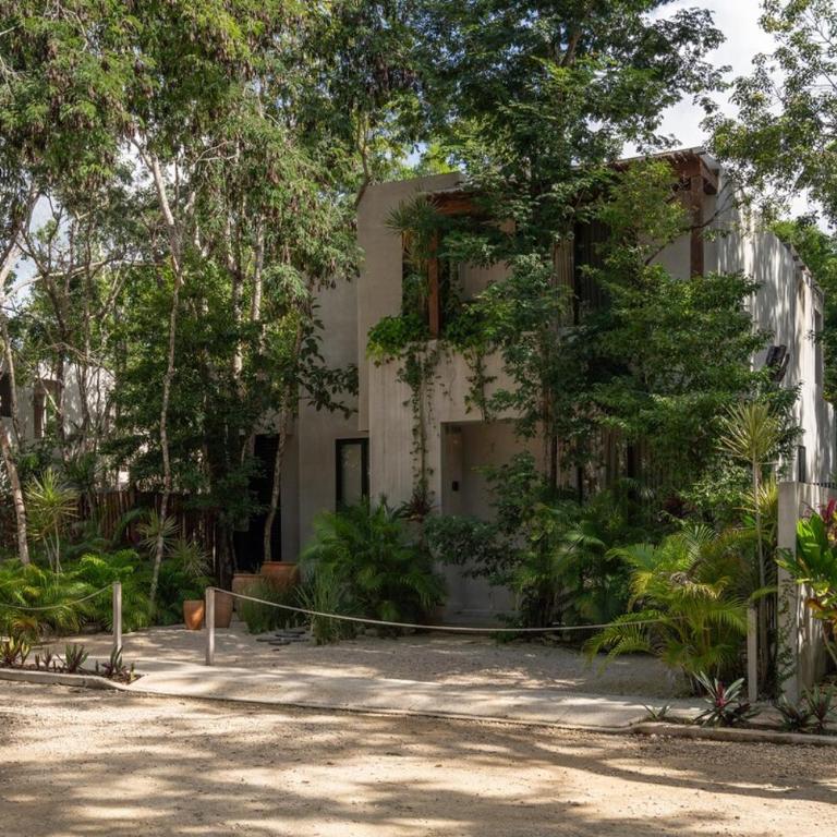 Casa Selva Maya - Villa con piscina privada - 24
