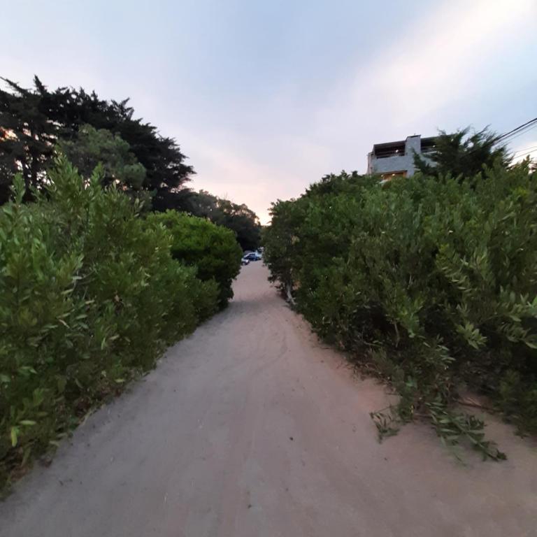 Amar la Mar - One-Bedroom Apartment - 24