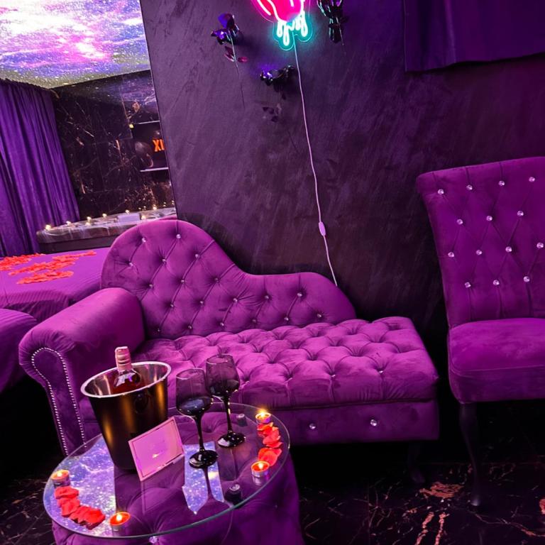 Flex Lux Spa Apartment Belgrade with Jacuzzi and Sauna - Deluks Apartman s 1 Spavaćom Sobom - 10