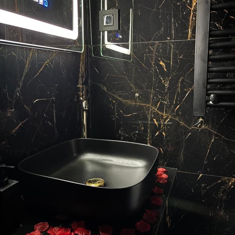Flex Lux Spa Apartment Belgrade with Jacuzzi and Sauna - Deluks Apartman s 1 Spavaćom Sobom - 22
