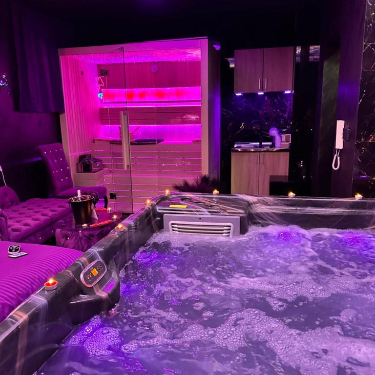 Flex Lux Spa Apartment Belgrade with Jacuzzi and Sauna - Deluks Apartman s 1 Spavaćom Sobom - 24