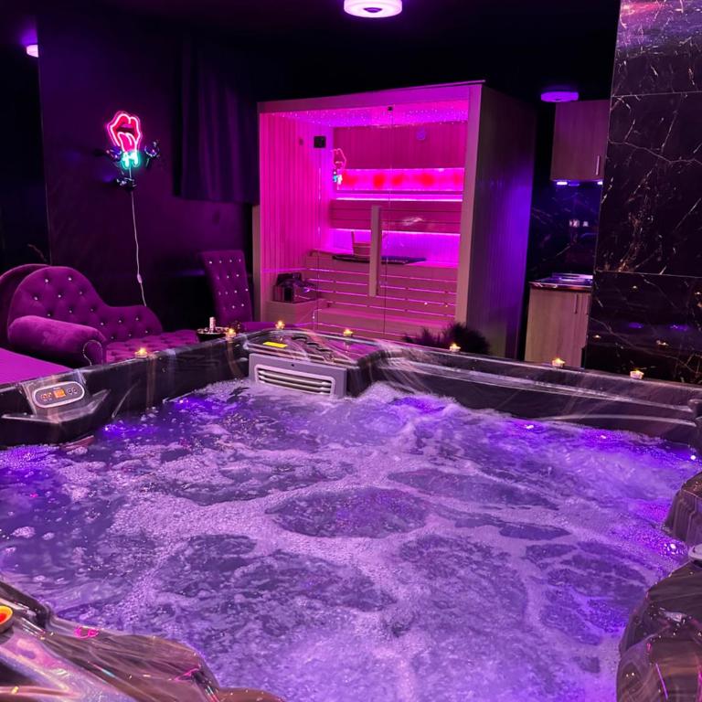 Flex Lux Spa Apartment Belgrade with Jacuzzi and Sauna - Deluks Apartman s 1 Spavaćom Sobom - 27