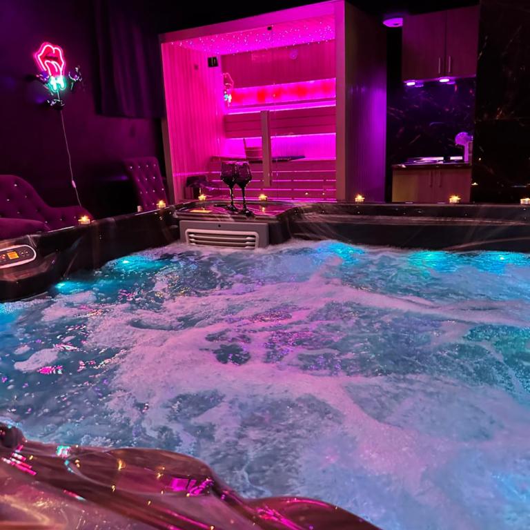 Flex Lux Spa Apartment Belgrade with Jacuzzi and Sauna - Deluks Apartman s 1 Spavaćom Sobom - 29
