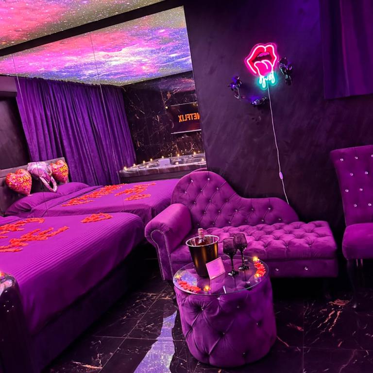 Flex Lux Spa Apartment Belgrade with Jacuzzi and Sauna - Deluks Apartman s 1 Spavaćom Sobom - 41