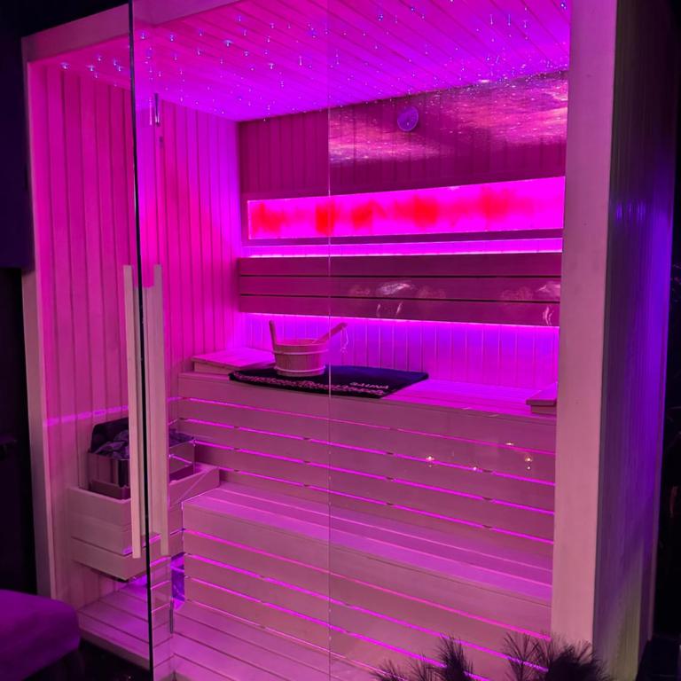 Flex Lux Spa Apartment Belgrade with Jacuzzi and Sauna - Deluks Apartman s 1 Spavaćom Sobom - 42