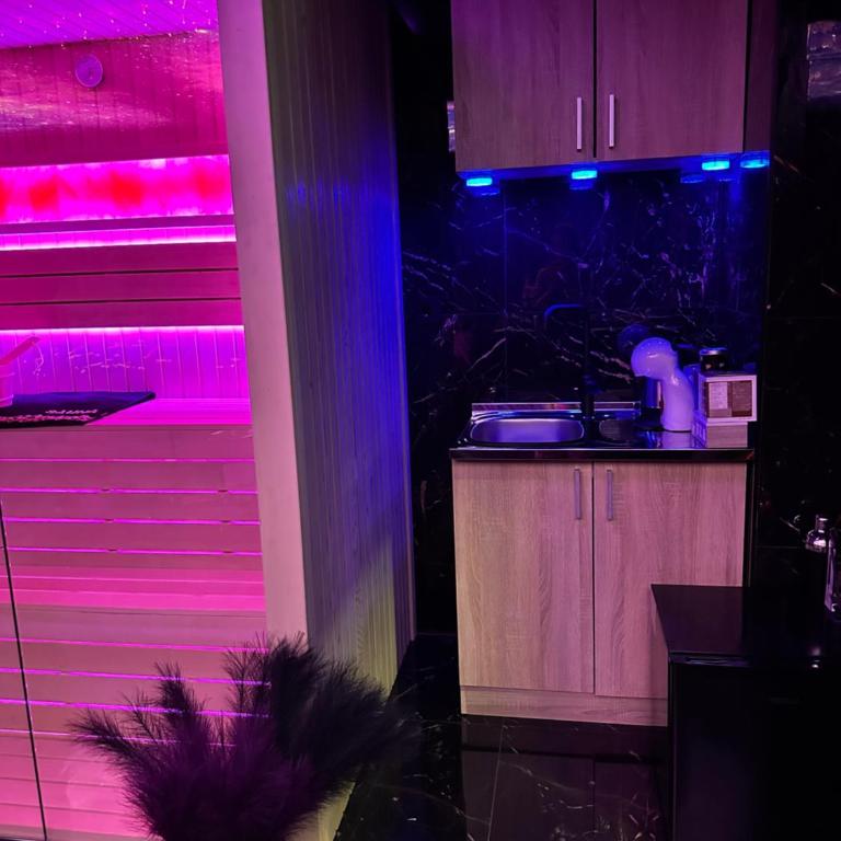 Flex Lux Spa Apartment Belgrade with Jacuzzi and Sauna - Deluks Apartman s 1 Spavaćom Sobom - 43