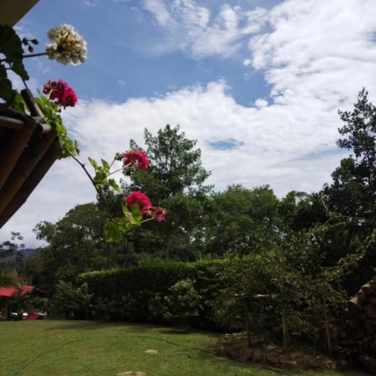 Casa de descanso los troncos - Three-Bedroom Vacation Home - 19
