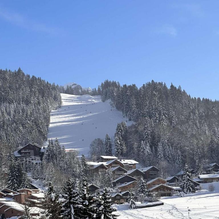 Appartement Familial 3 Pièces Pied de Piste avec Parking - FR-1-572-350 - Appartement - 10