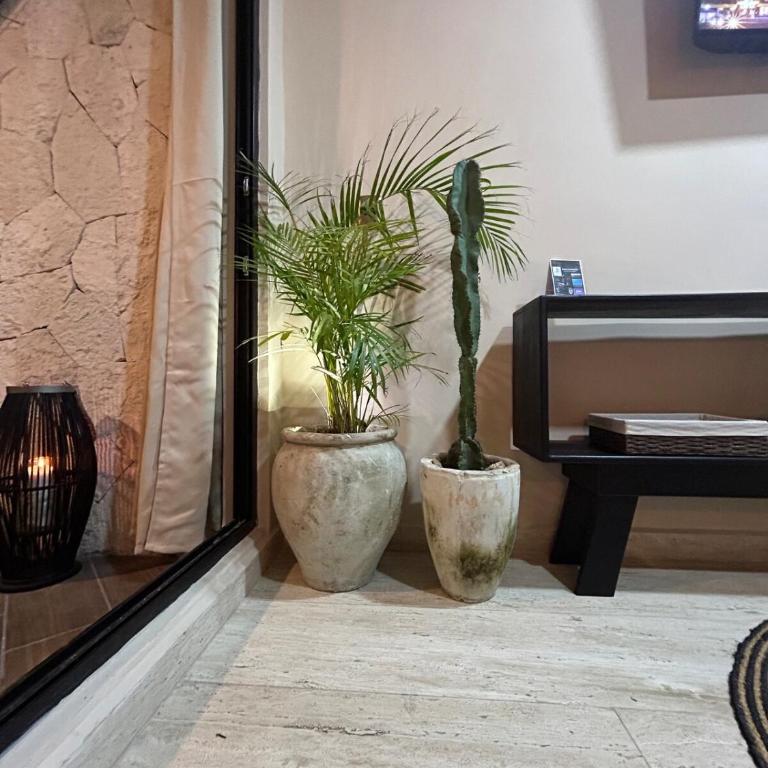 Bokoba condo Tulum Naia - Apartamento de 2 dormitorios - 13