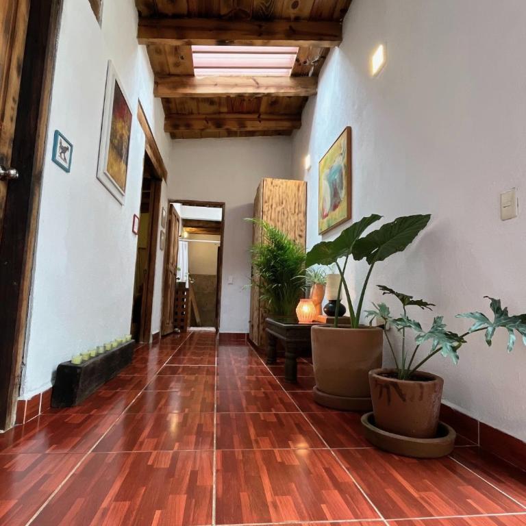 Casa de campo ideal para descansar y desconectarse - Casa de 3 dormitorios - 43