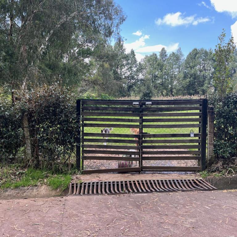 Casa de campo ideal para descansar y desconectarse - Casa de 3 dormitorios - 55