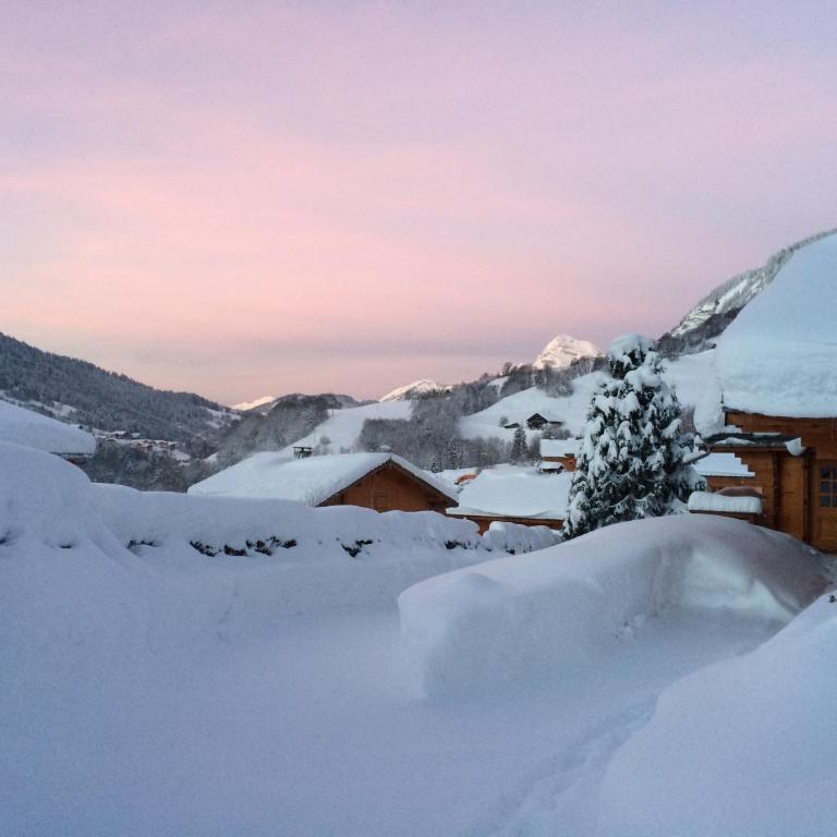 Le Chalet de Guyliane - Vue Montagne - Maison 5 Chambres - 1