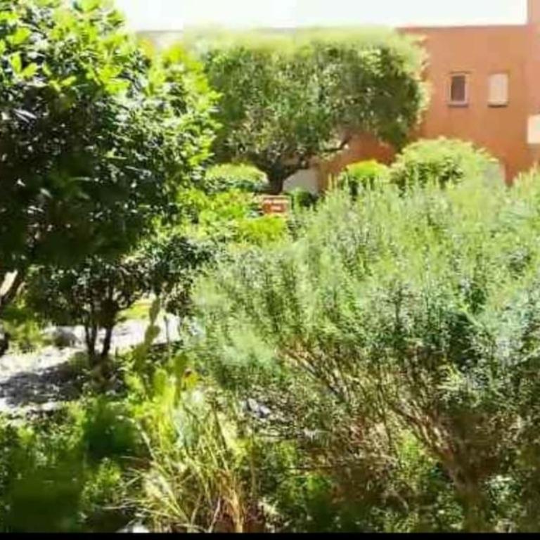 Petit nid au LAVANDOU - Appartement 1 Chambre - 11