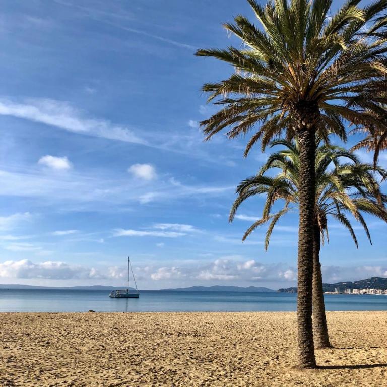 Petit nid au LAVANDOU - Appartement 1 Chambre - 21