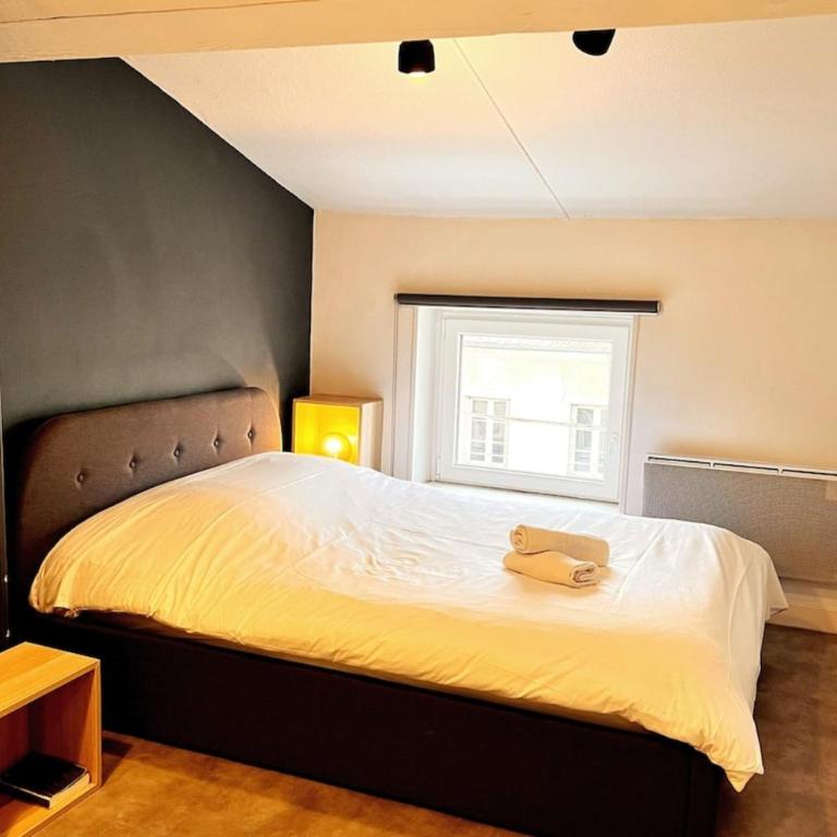 Nancy centre gare 4p - Appartement - 1